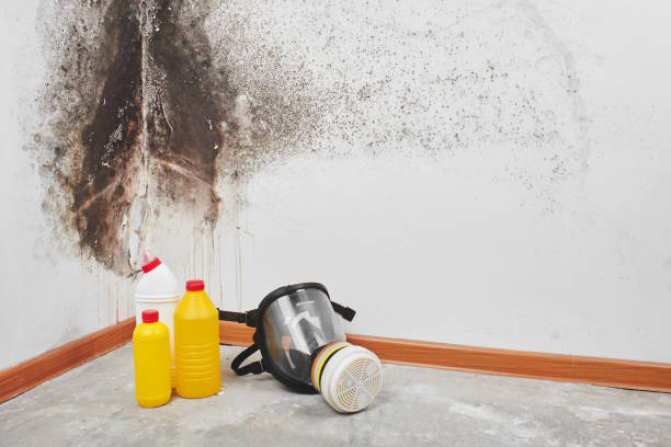 Best Mold Cleaning Services  in Linden, NJ