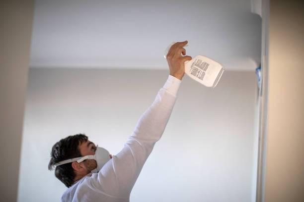 Professional Mold Removal in Linden, NJ