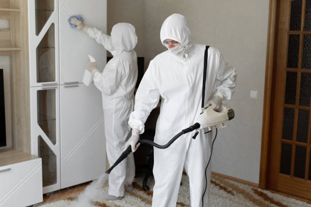 Mold Removal Process in Linden, NJ